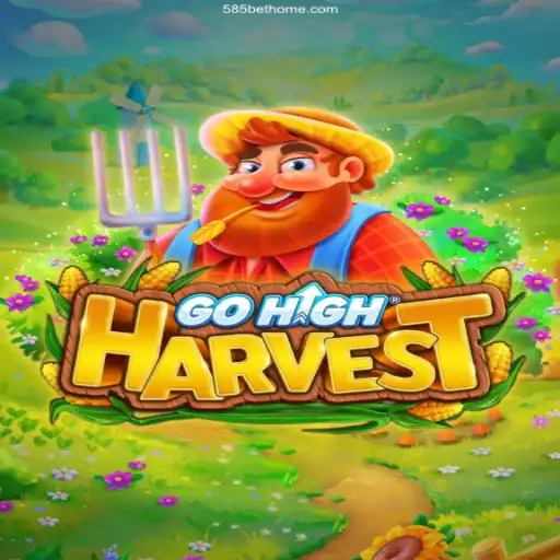 GoHighHarvest: The Most Trusted Betting Game in Brazil